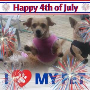 Meet your Posher, Maxine